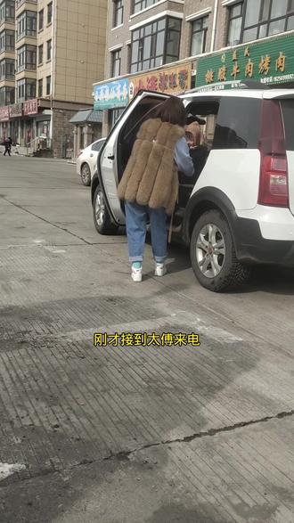 我老公更让我上火,藏獒的外形,小猫咪的配置#记录生活 #情侣日常 #开学