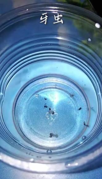 牙疼,抓牙虫🐛#牙#牙齿 #牙套