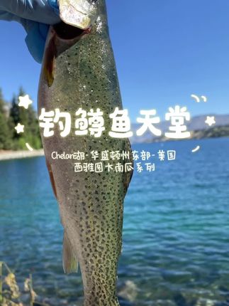 Fishing & sports · Visual field note 07