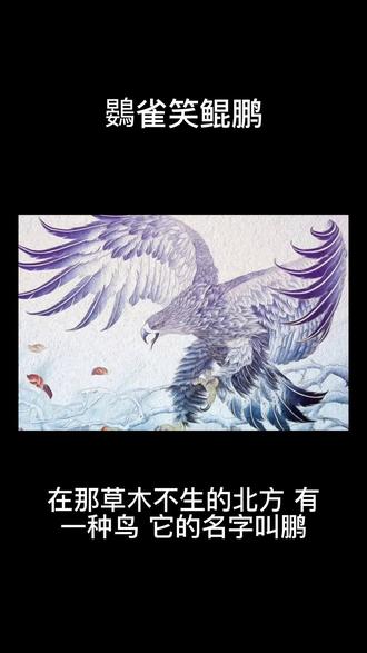 听传统故事学传统文化:鷃雀笑鲲鹏#故事