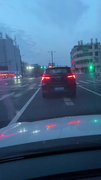 古达古达到底是什么🐦😅😅😅
