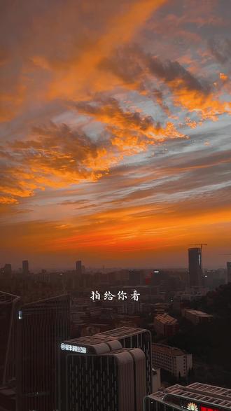 这个八分钟的晚霞,只有周末的加班人才能看得到了,现在,分享给你们#日落🌄 #济南晚霞 #好看的晚霞分享给喜欢的人 #我在人间贩卖黄昏#晚霞