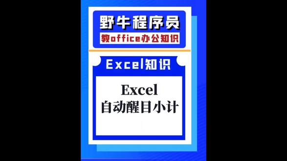 Excel自动醒目小计#创作灵感 办公软件Excel技巧@野牛程序员教少儿编程 #宜宾野牛程序员 #野牛程序员 #excel教程 #excel技巧 #excel零基础教学 #excel教学 #excel函数 #excel零基础教程 #电脑做表格教程 #excel初学教程 #零基础学办公软件 #office办公技巧 #excel实用技巧 #excel零基础入门教程 #excel技巧教学 #excel表格操作技巧 #excel基础教学 #宜宾野牛