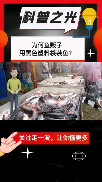 为什么鱼贩子都用黑色塑料袋?没想到里面门道多多,你知道几个?#买鱼 #卖鱼 #科普 #涨知识 #奇妙知识在抖音