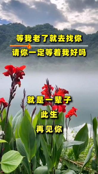 等我老了就去找你,请你一定等我好吗?#情感 #触动心坎的那些话 @抖音小助手