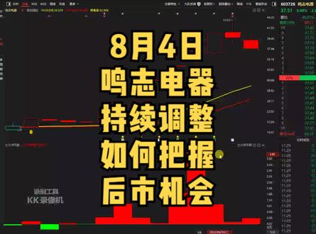 鸣志电器,持续调整,如何把握后市机会?