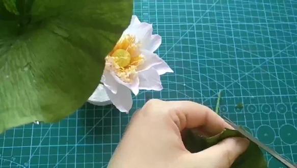 皱纹纸制作小碗莲#创意手工 #花艺 #手工diy #手工制作