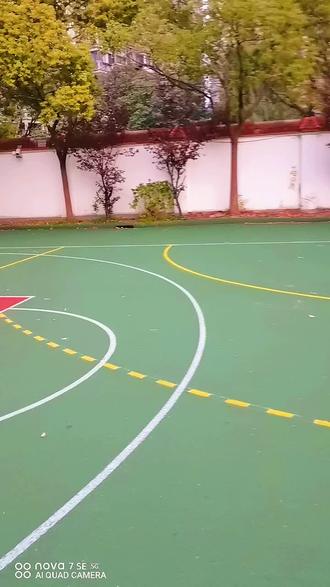 手球,篮球合用场地画线