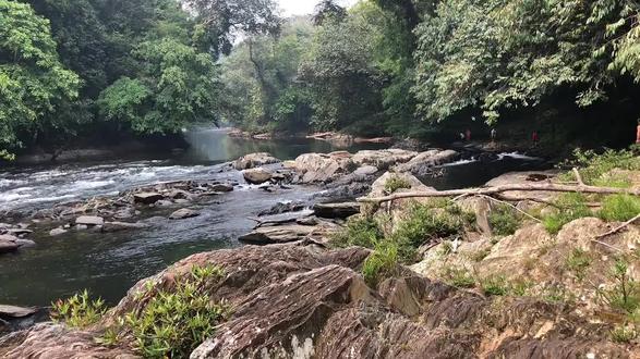 加里曼丹山河钓忘不了鱼!真是让人忘不了