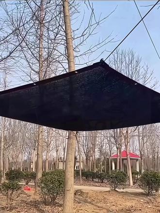 防虫网:守护家园的新武器