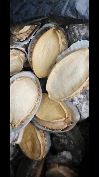 伟伟水产欢迎您