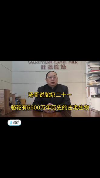 21集 | 骆驼,来自北美洲距今约5500万年的古老生物,你了解它吗?#骆驼 #旺源驼奶绵阳店