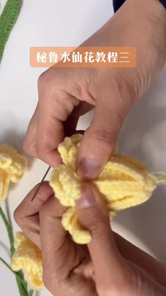 #手工编织 #钩针基础教程 #秘鲁水仙花教程 细花茎用线缠绕铁丝即可,不做讲解啦!