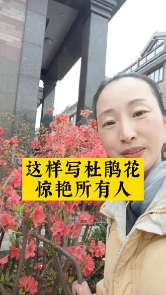 这样写杜鹃花~惊艳所有人#作文#教育#语文@DOU+小助手 @抖音小助手 @抖音广告助手