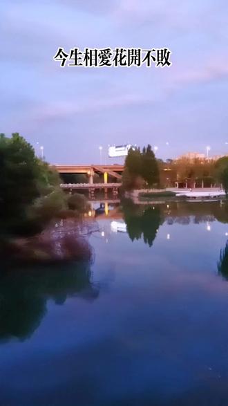 苏州雨后的晚景配上一首
《今生相爱花开不败》