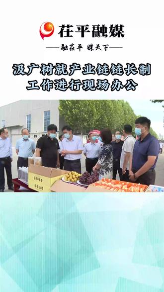 汲广树就产业链链长制工作现场办公