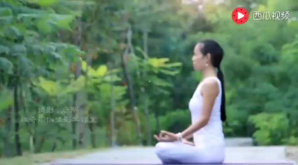 荷心阴瑜伽第一部2022-7-13