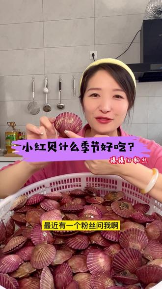 小红贝什么季节好吃?#小红贝#扇贝#海鲜原产地#海鲜#快来一起尝个鲜@DOU+小助手