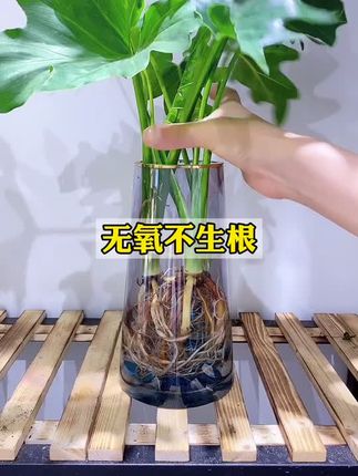 馨语花艺