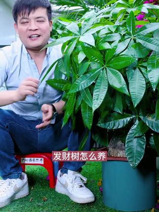 广州绿色世界科技