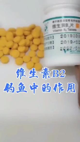 维生素B2在钓鱼当中的作用