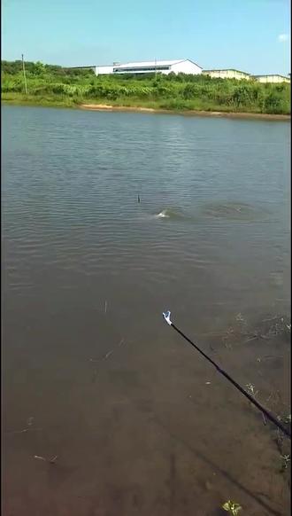 🌞🌞🌞喔豪、喔豪、😄😄鳌拜鳌拜熬拜拜