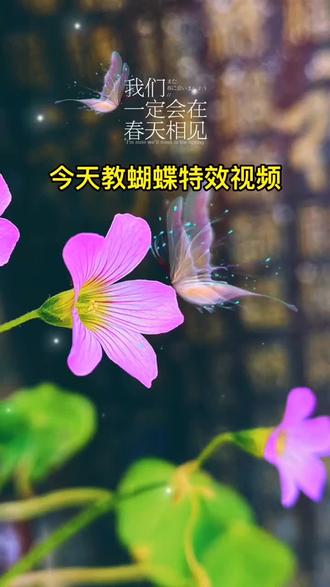 春天到了,让我们拍起来,蝴蝶飞来最详细教程来了,快来交作业吧!#手机摄影 #教程 @DOU+小助手