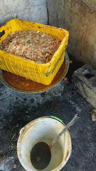 食堂废油回收:绿色厨房的新篇章