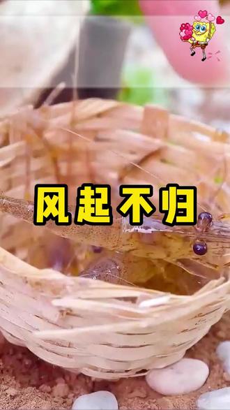 后续上今日头条嗖【风起不归】看全文 #我的某个同学竟成了作案手法极其变态的连环杀人狂 #今日头条看后续 季星睿丁乔乔 , 童话飞舞季星睿丁乔乔后续完结,童话飞舞童话飞舞季星睿丁乔乔后续结局,
童话飞舞 ,童话飞舞后续完结,童话飞舞后续结局,