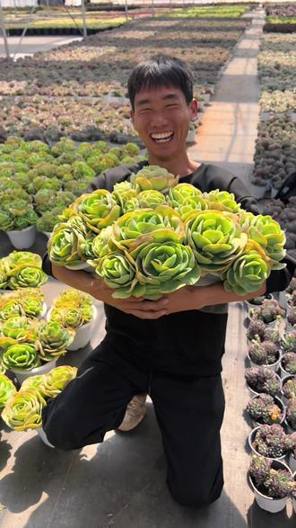 下午三点准时开始多肉多肉植物植迷园艺