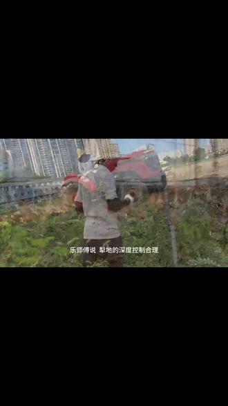 关于洪山菜薹播种前的翻土整地工作你了解多少呢? #洪山菜苔 #三农 #武汉 #湖北省菜 #翻土