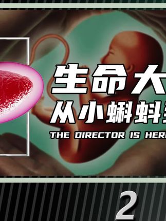 绝密研究所所长