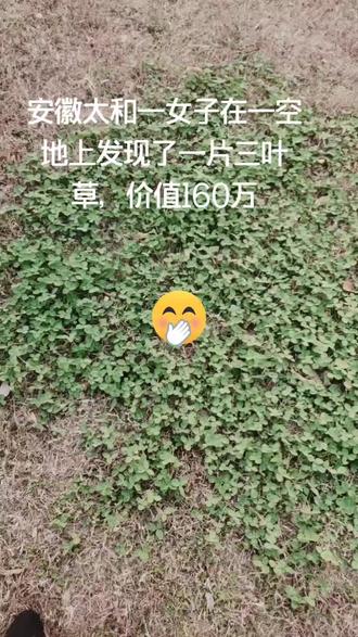 我的天呐,天降巨财,😂一秒暴富。