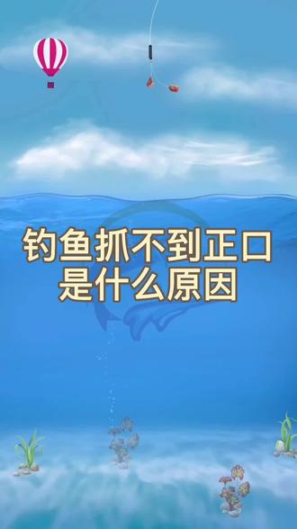 钓鱼抓不到正口是什么原因呢?#钓鱼人 @DOU+小助手