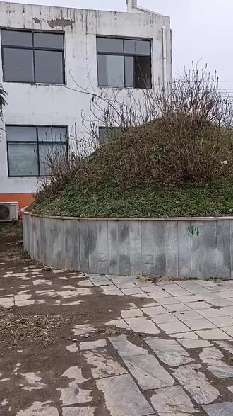 邓州的台湾村有知道吗?