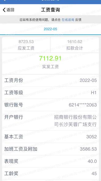#愿所有努力都不被辜负 每个月查工资就跟开盲盒一样,激动的心颤抖的手