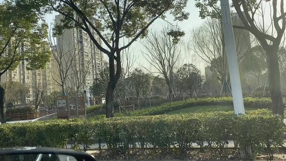 今天跟大家聊聊上海浦东新区的前世今生 #生活vlog #日常vlog #大城市 #卖菜那些事 #买菜