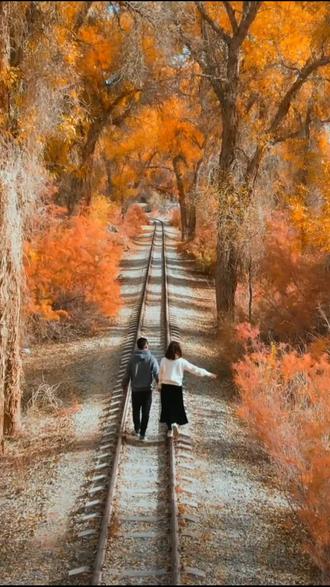 #情感 #秋天落叶🍂 #精彩片段 @抖音小助手