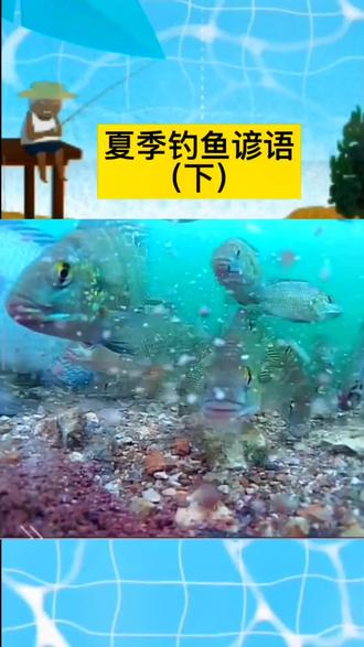 钓鱼技巧分享#钓鱼 #钓鱼人#钓鱼技巧#黑坑#野钓