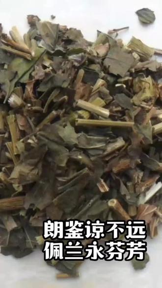 朗鉴谅不远,佩兰永芬芳#佩兰