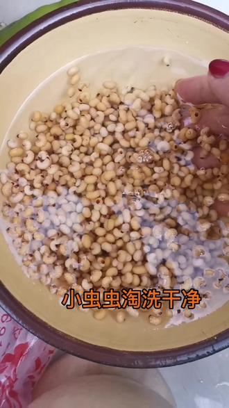 橡子里的虫子可以吃,看着不好看,但是很香啊😂