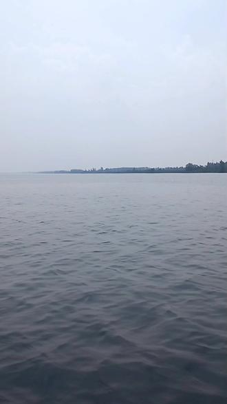 白洋淀的水漫到码头停车场了,景区已关停