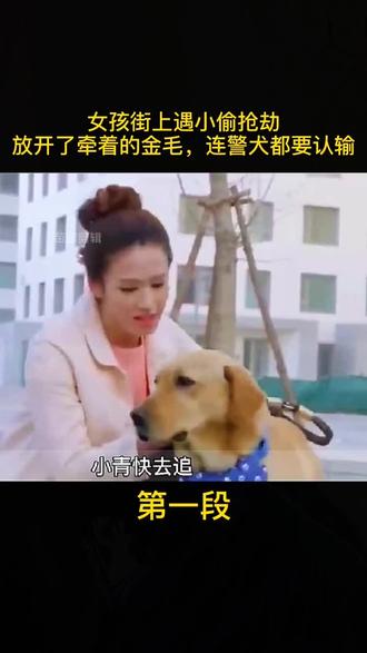 这条狗狗真棒,猛猛哒👍👍👍👌👌🙏🙏