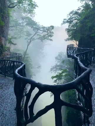 张家界途小丫旅行