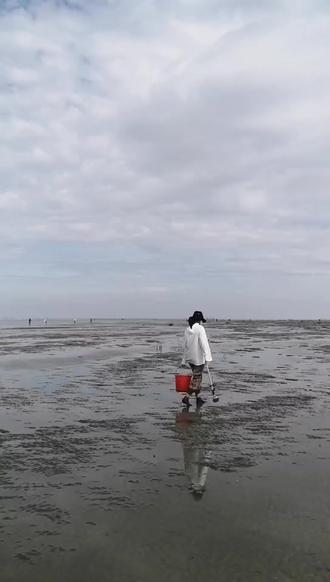 去过黄河摸蚬子,怎么能不来海边捡泥螺呢!#赶海赶海赶海啦