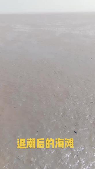 海滩上的快乐 ~拾欢子,拾泥螺