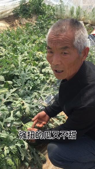 有一句话叫:卖盐的老婆喝淡汤……,是不是就是这个意思?