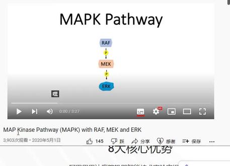 激活条件:生长因子(Growth factor)、细胞因子(cytokine)、温度变化和缺氧(对于食管癌患者,胃酸、胆汁酸、细胞毒性药物可以激活MAPK途径)
作用:细胞存亡和增殖、炎症作用等
特点:逐级激活Map激酶
关键因子:Ras、Raf、MEK和ERK蛋白
过程简述:胞外信号→膜受体→RAS→MAP3K→MAP2K→MAPK