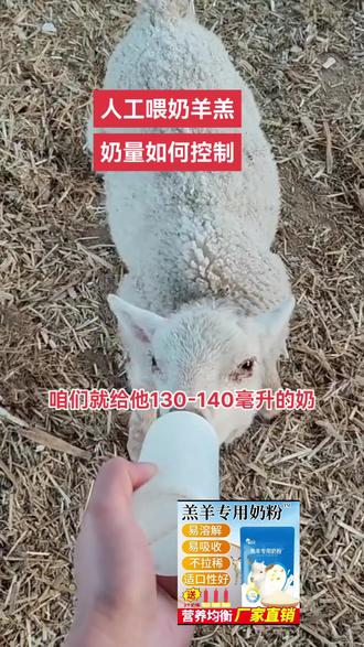 #每天分享牛羊养殖小知识 羊羔喂奶如何控制奶量