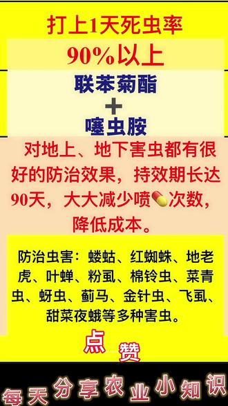 杀虫90%以上的杀虫剂组合@抖音小助手 #三农 #三农种植 #蔬菜种植 #农业 #知识分享 #农业种植 #抖音助农 #农民不易 #涨知识 #杀虫剂配方